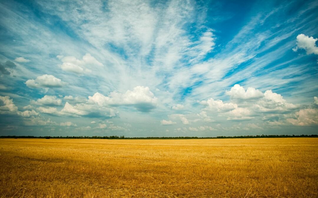 Acá en la tierra como en el cielo